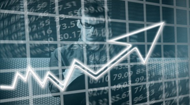 Vestel Beyaz Eşya'dan kar payı dağıtımı
