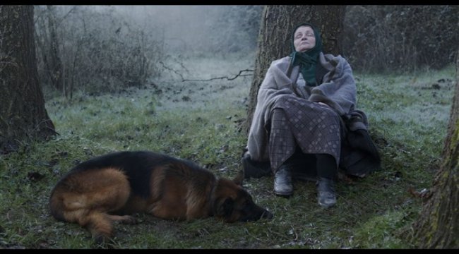 Akbank Sanat Kısa Film kanalı yayına başlıyor