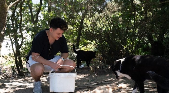 Burak Güngör bini aşkın köpek için yardım çağrısında bulundu