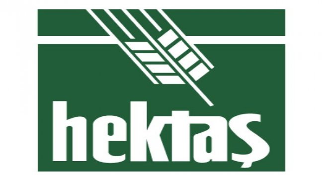 Hektaş'tan, tüzel kişi yönetim kurulu üye temsilcisi açıklaması