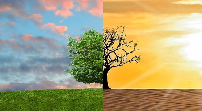 ICF, iklim değişikliğine ilişkin bildiriye imza attı