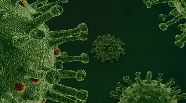 Koronavirüs salgınında ölenlerin sayısı 5 bin 382'e ulaştı
