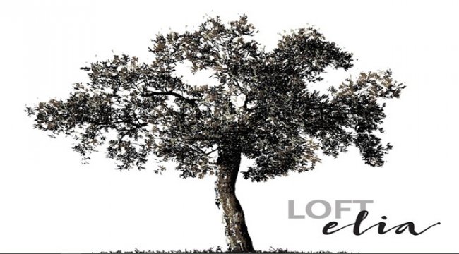 LoftElia Restaurant Bodrum Loft’da açıldı