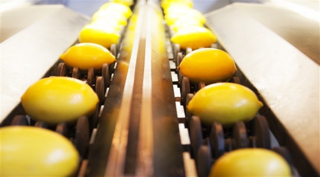 Mandalina rekoltesi artacak, portakalda düşüş olacak