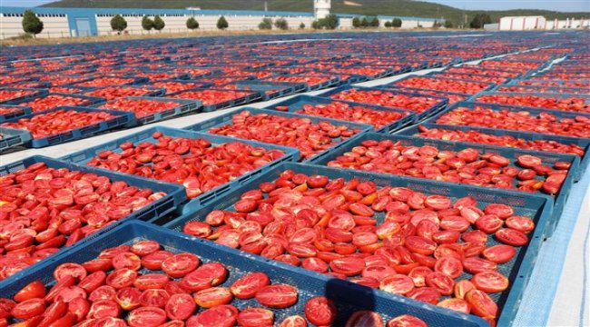 1 Milyar dolar ihracat hedefine üreticilerimizle birlikte ulaşacağız​