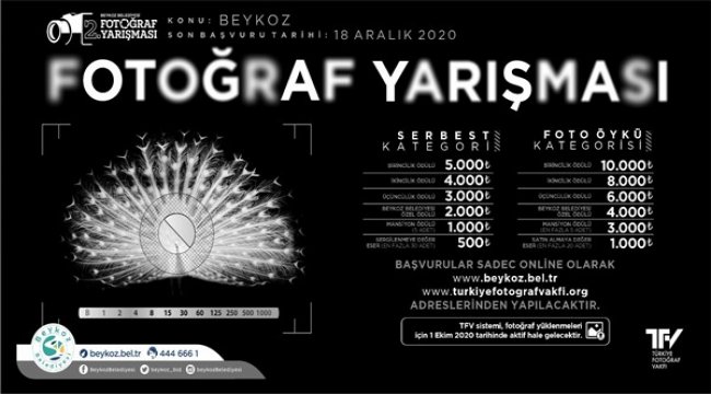 Beykoz Belediyesi 2. Fotoğraf Yarışması başlıyor