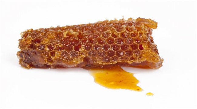 Bilim Kurulu Üyesi Prof. DR. Ateş Kara, propolis ve diğer arı ürünlerini anlattı