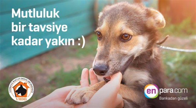Enpara.com’dan yeni bir sosyal sorumluluk projesi