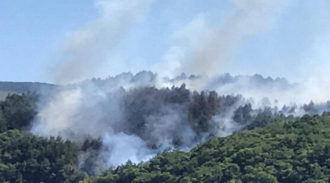Kastamonu'da Orman yangın