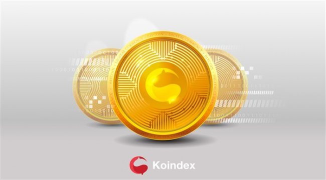 Kripto Para Piyasası, Yerel Kripto Para Birimi KOIN ile tanışıyor
