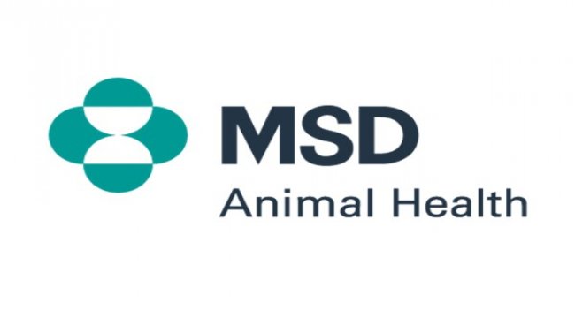 MSD Hayvan Sağlığı Türkiye’nin Yeni Genel Müdürü