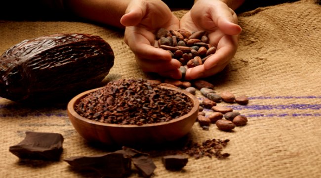 ​Sağlığınız için ''kakao nibi''yi keşfedin