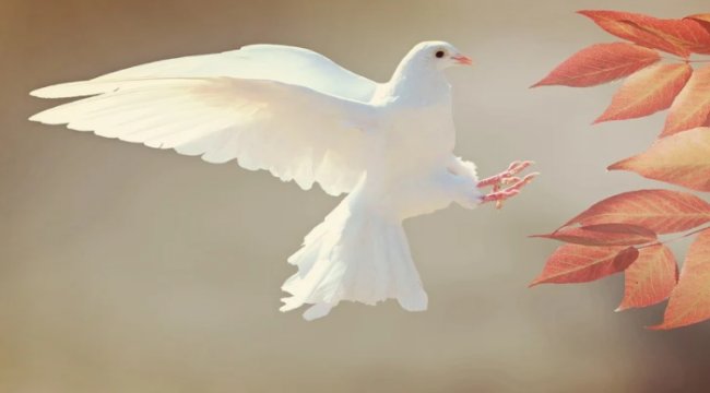 Şans Tekirdağ Muratlı’ya güldü