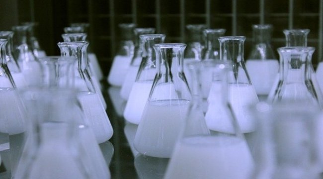 Seyitler Kimya, yılın ilk yarısını karlı tamamladı