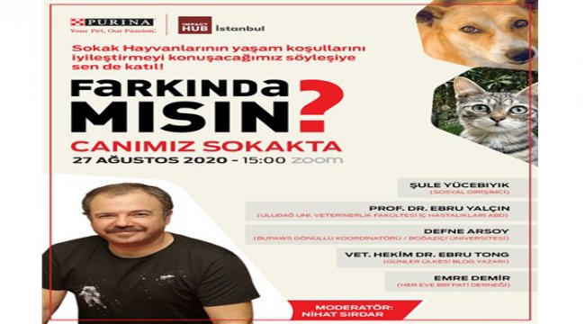 "Sokak hayvanlarının sorunları farkında mısın? " etkinliğinde ele alınıyor