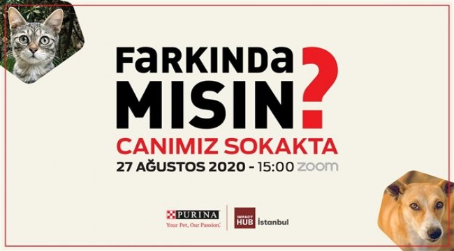 Sokak hayvanlarının sorunları “Farkında Mısın?” etkinliğinde ele alınıyor