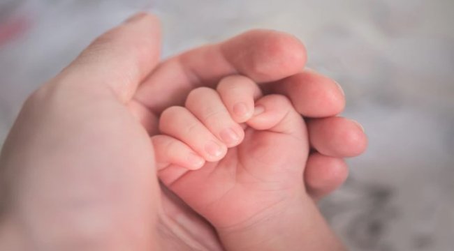 Tüp bebekler turp gibi sağlıklı