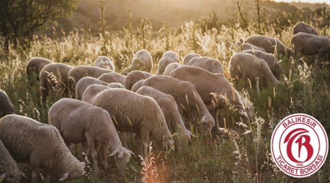Balıkesir’in coğrafi işaretli ürün sayısı 12’ye ulaştı