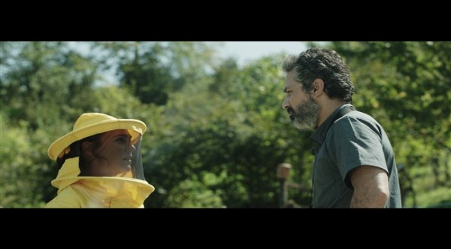 Doğa ve insana dair sıra dışı bir film: Kovan