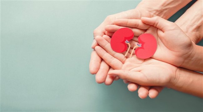 Ev hemodiyalizi yaparak ağır işlerde rahatça çalışan böbrek hastaları var
