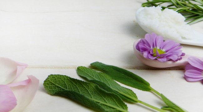 Fitoterapi eğitimine rekor katılım