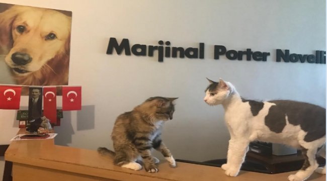 Garanti BBVA iştiraklerinin iletişim ajansı Marjinal Porter Novelli oldu