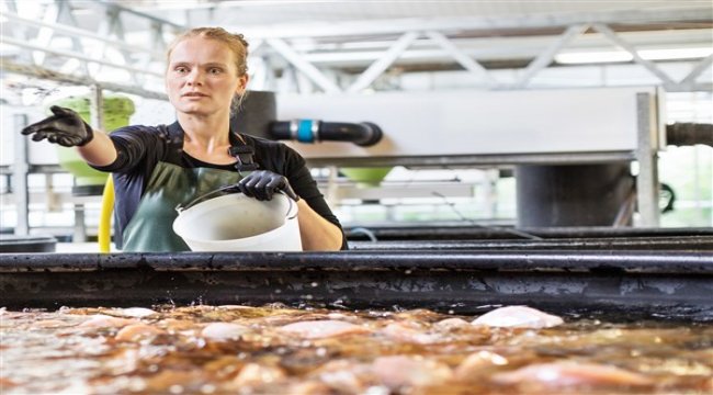 Gıda sektörünün geleceği için cesur adımlar atılmalı