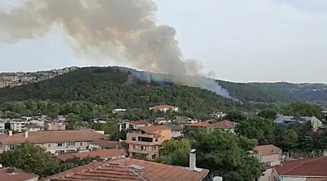 İstanbul, Beykoz'da orman yangını