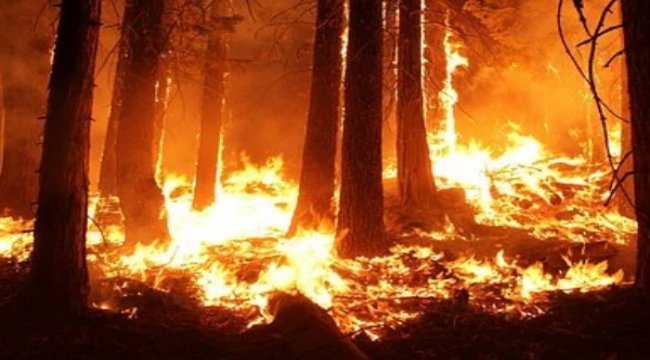 İtfayenin yangına ortalama varış süresi 5 dakika 29 saniye