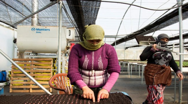 Kadınlar her koşulda başarır