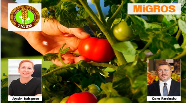 Mirasımız yerel tohumlar yeniden Migros raflarda