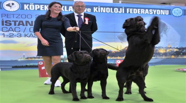 PETZOO Antalya 17 Eylül'de açılıyor