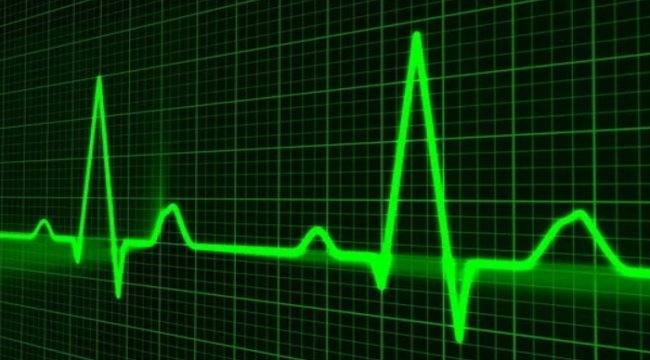 Yolda ani kalp krizi riskine dikkat