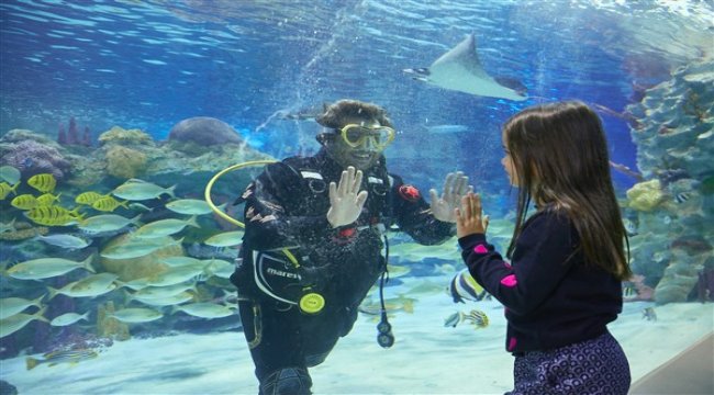 Dört dörtlük eğlence Emaar’da