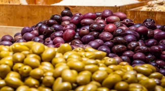 Gemlikli zeytin üreticisine de ibb’den destek