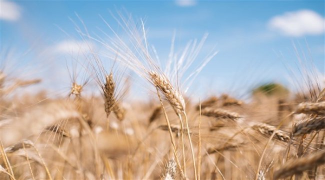 Gıda firmaları daha şeffaf olup, sağlıklı beslenmeye teşvik etmeli