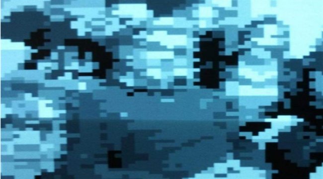 İnternet Sanatını Korumak