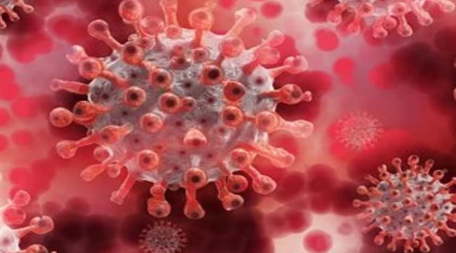 Korana virüs salgınında ölenlerin sayısı 8 bin 498`eulaştı