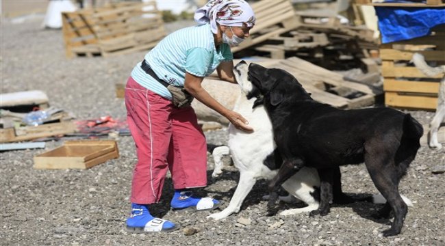 Mama desteği ile sevimli patiler doyuyor