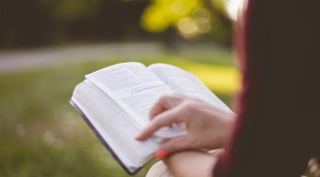 Odaklı Eğitim ve Kolaylaştırılmış Sertifikasyon hizmeti sunuyor