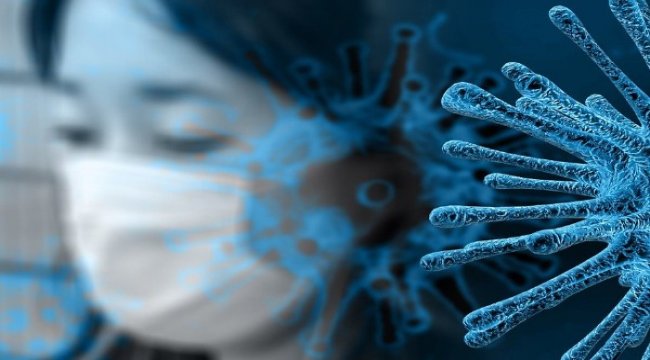 Revize - Koronavirüs salgınında ölenlerin sayısı 9 bin 371'e ulaştı