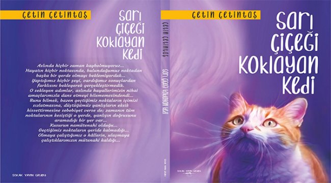 Sarı çiçeği koklayan kedi raflarda yerini aldı