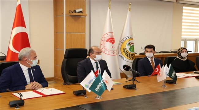 11 Kasım'da 100 bin fidan bağışı