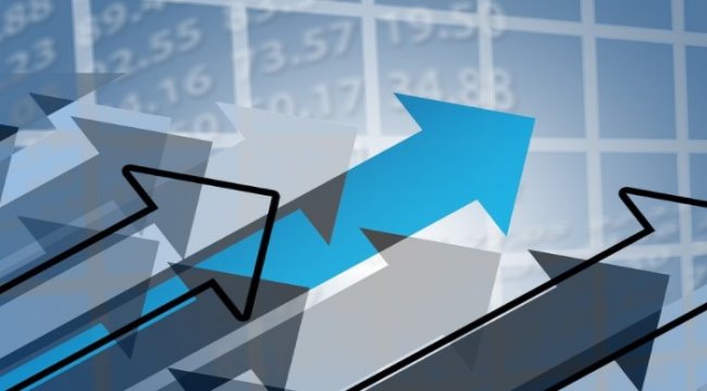 BİST Şirketleri Veri Bankası