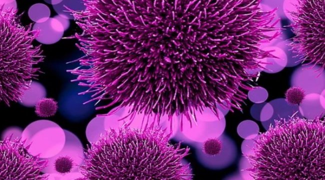 Koronavirüs salgınında ölenlerin sayısı 10 bin 803'e ulaştı