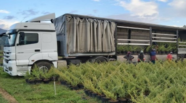 Milli Ağaçlandırma Günü için fidanlar hazır