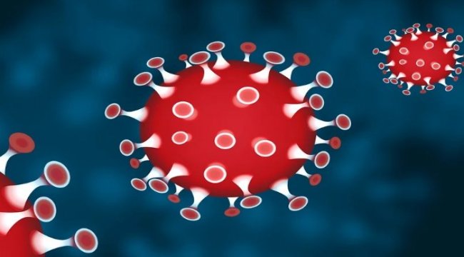 Pandemi sürecinde yapılacak PCR testi tanı koymak için çok kritik