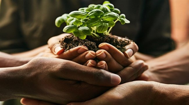 Tarladan çatala yeniden yapılandırmak için bir araya geliyor