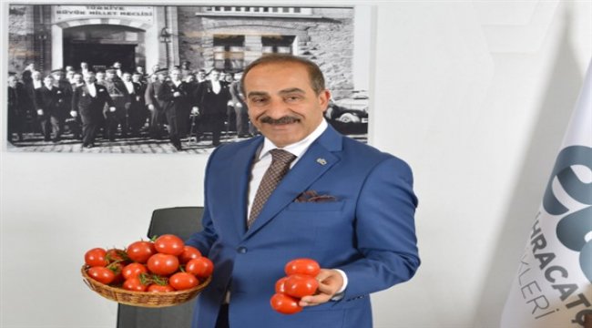 Taze domates ihracatı 250 milyon doları aştı