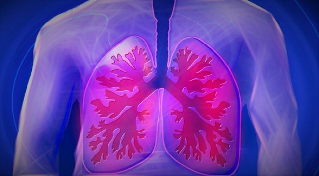 Türkiye’de 10 KOAH hastasından sadece biri doktora başvuruyor